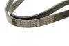 Ремень приводной поликлиновый 6PK1165 BOSCH 1987947945 (фото 2)