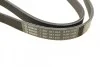 Ремень приводной поликлиновый 6PK1165 BOSCH 1987947945 (фото 3)