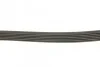 Ремень приводной поликлиновый 6PK1693 BOSCH 1987947951 (фото 3)
