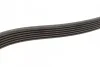 Ремень приводной поликлиновый 6PK1795 BOSCH 1987947953 (фото 3)