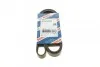 Ремень приводной поликлиновый 6PK1610 BOSCH 1987947983 (фото 1)