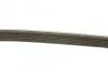 Ремень приводной поликлиновый 6PK1610 BOSCH 1987947983 (фото 2)