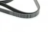 Ремень приводной поликлиновый 6PK1610 BOSCH 1987947983 (фото 4)