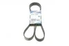Ремень приводной поликлиновый 6PK1623 BOSCH 1987947985 (фото 1)