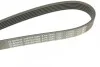Ремень приводной поликлиновый 6PK1685 BOSCH 1987947986 (фото 5)
