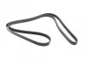 Ремень приводной поликлиновый 6PK2055 BOSCH 1987947988 (фото 4)