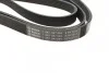 Ремень приводной поликлиновый 6PK2013 BOSCH 1987947994 (фото 3)