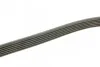 Ремень приводной поликлиновый 6PK1530 BOSCH 1987948315 (фото 3)