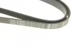 Ремень приводной поликлиновый 6PK1530 BOSCH 1987948315 (фото 4)