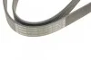 Ремень приводной поликлиновый 7PK1148 BOSCH 1987948321 (фото 5)