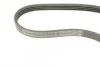 Ремень приводной поликлиновый 4PK760 BOSCH 1987948337 (фото 5)