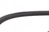 Ремень приводной поликлиновый 4PK1000 BOSCH 1987948359 (фото 4)