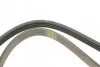Ремень приводной поликлиновый 4PK1060 BOSCH 1987948365 (фото 4)