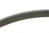 Ремень приводной поликлиновый 6PK1090 BOSCH 1987948381 (фото 3)