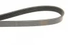 Ремень приводной поликлиновый 5PK1135 BOSCH 1987948410 (фото 4)