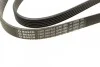 Ремень приводной поликлиновый 6PK1520 BOSCH 1987948425 (фото 3)