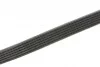 Ремень приводной поликлиновый 6PK875 BOSCH 1987948430 (фото 4)