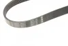 Ремень приводной поликлиновый 6PK875 BOSCH 1987948430 (фото 5)