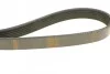 Ремінь приводний полікліновий 6PK1100 BOSCH 1987948437 (фото 4)