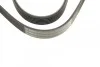 Ремень приводной поликлиновый 6PK1130 BOSCH 1987948440 (фото 3)