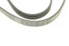 Ремень приводной поликлиновый 5PK1450 BOSCH 1987948480 (фото 5)