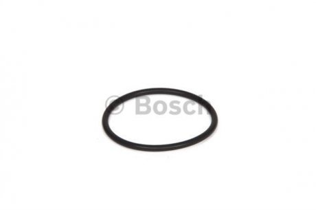 Уплотнительное кольцо BOSCH 2700210031 (фото 1)