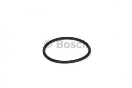 Уплотнительное кольцо BOSCH 2700210031