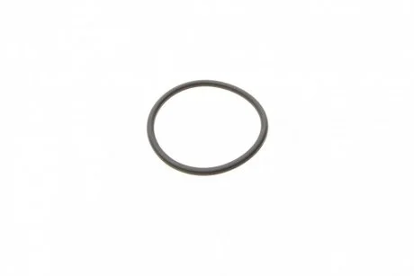 Фото 1 - уплотнительное кольцо ТНВД BOSCH F 00R 0P0 166 Уплотнительное кольцо ТНВД BOSCH F 00R 0P0 166 (фото 1)