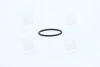 Опорное кольцо BOSCH F00RJ00220 (фото 2)