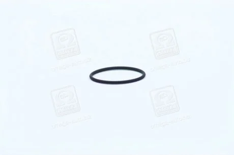 Опорное кольцо BOSCH F00RJ00220 (фото 1)