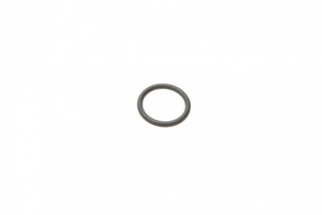 Уплотнительное кольцо BOSCH F00RJ01026 (фото 1)