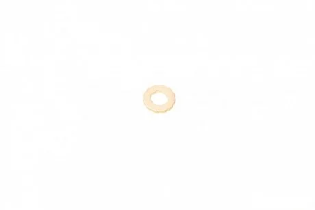 Уплотнительное кольцо BOSCH F00RJ02175 (фото 1)