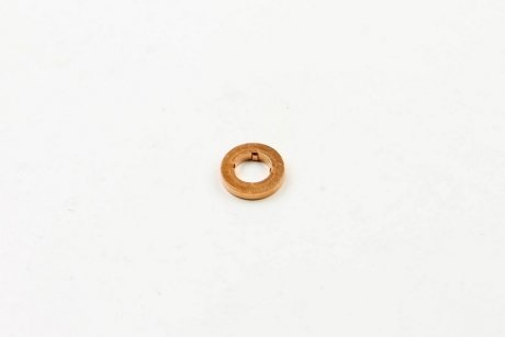 Уплотнительное кольцо BOSCH F00VC17505 (фото 1)