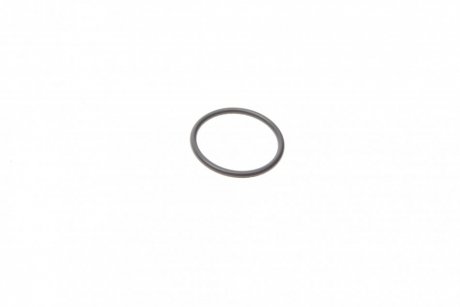 Уплотнительное кольцо BOSCH F00VC38042 (фото 1)