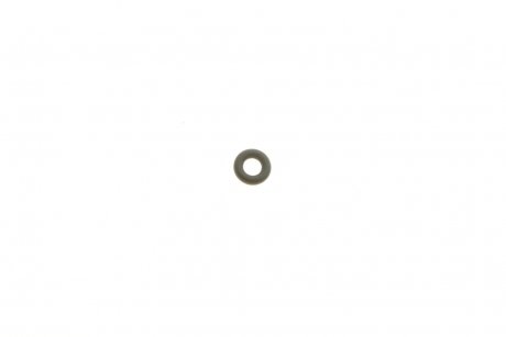 Уплотнительное кольцо BOSCH F00VP01003 (фото 1)