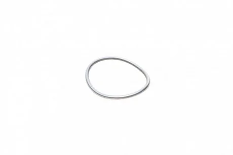 Уплотнительное кольцо BOSCH F01M100114 (фото 1)
