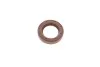 Елемент насосу Common Rail BOSCH F01M100984 (фото 1)