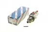 Гальмівний циліндр BOSCH F026003188 (фото 1)