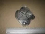 Колодки тормозные дисковые HYUNDAI ELANTRA, SANTA FE, TUCSON, KIA MAGENTIS задн. CHAMPION 572557CH (фото 1)