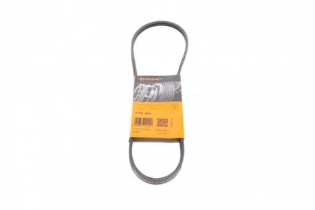 Ремінь генератора Jumper/Boxer 2.5D 05.96> WP CONTITECH Contitech 3PK866
