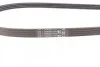 Ремінь генератора 4PK1102 Ducato/Jumper/Boxer/Daily 3.0HDi 06- Contitech 4PK1102 ELAST (фото 3)