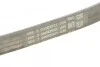 Ремень приводной поликлиновой Contitech 4PK753 ELAST (фото 3)