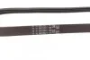 Ремінь генератора поліклиновий Contitech 4PK850ELAST (фото 3)