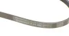 Пас поліклиновий Citroen Jumper/Peugeot Boxer 2.5D Contitech 4PK866 (фото 4)