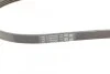 Ремінь генератора A6/Elantra/Carens/Ceed/Cerato/Grand Vitara 89- CONTITECH Contitech 4PK890 (фото 4)