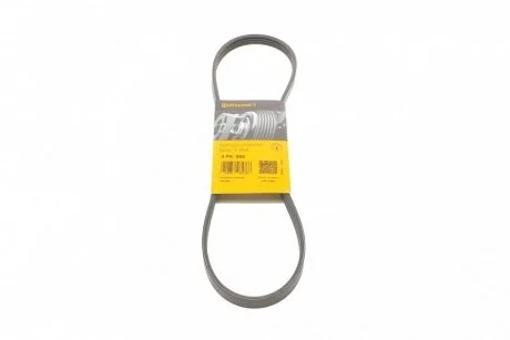 Ремень генератора A6/Elantra/Carens/Ceed/Cerato/Grand Vitara 89- CONTITECH Contitech 4PK890