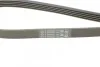 Доріжковий пас Contitech 5PK1120 (фото 4)