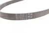 Ремень приводной поликлиновой Contitech 5PK1166 EXTRA (фото 2)