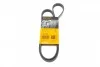 Ремінь генератора 5PK1250 Berlingo/Partner 1.1/1.4/1.6i 97> (PS,+AC) CONTITECH 5PK1250