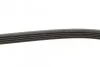 Ремень приводной навесного оборудования Contitech 5PK1260 (фото 6)
